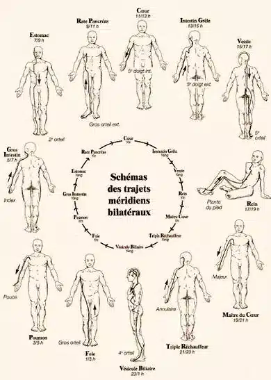 Séance JMV - schémas des trajets méridiens